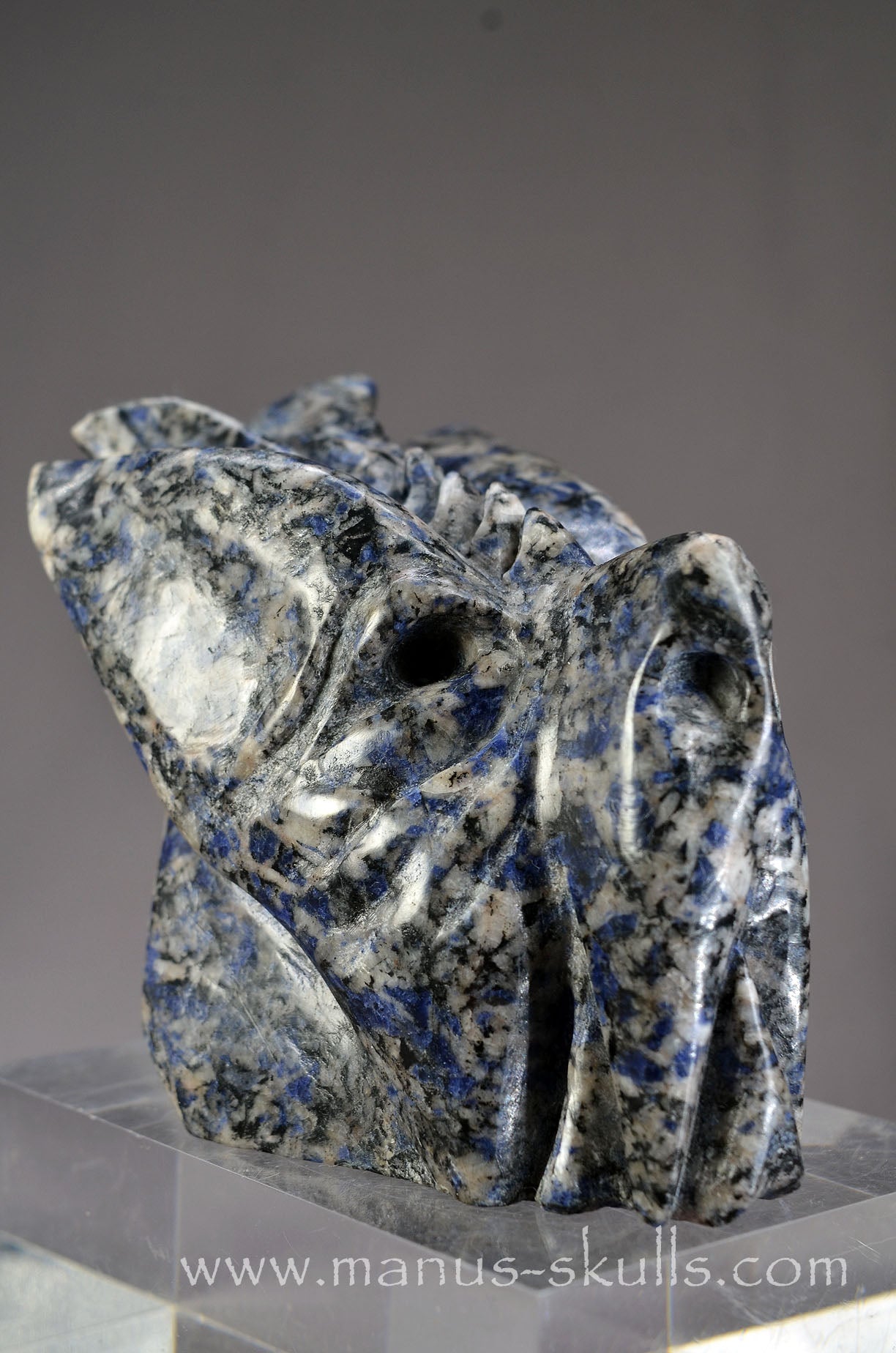 Rare Galena in Blue Quartz Dragon ....