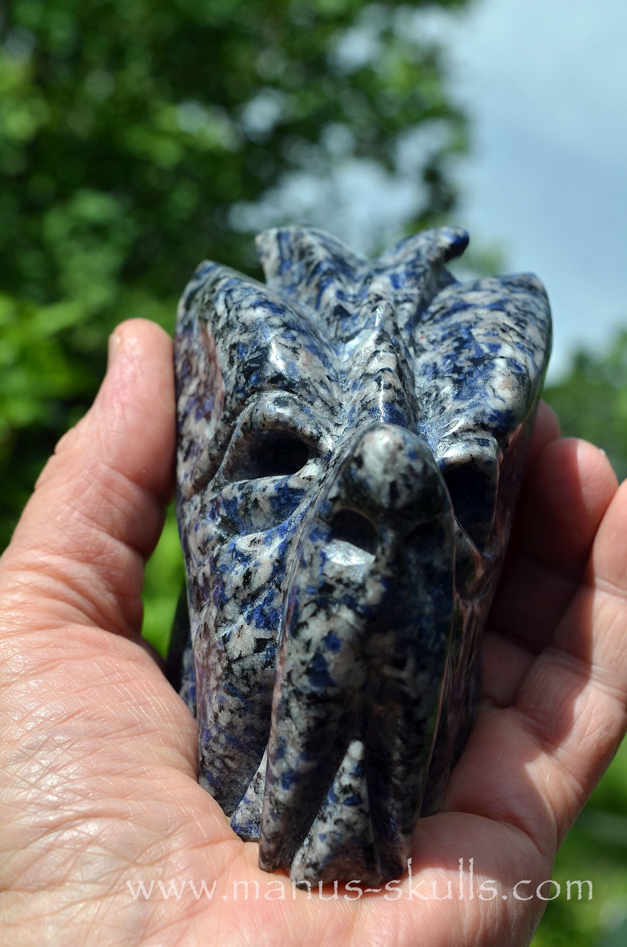 Rare Galena in Blue Quartz Dragon ....