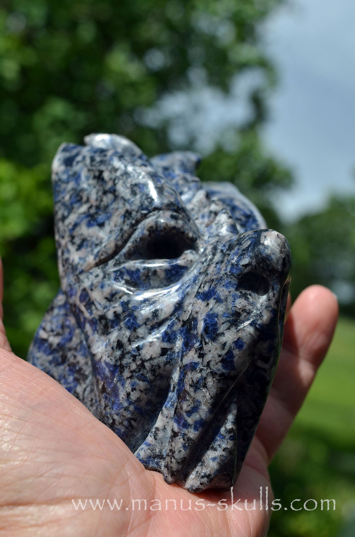 Rare Galena in Blue Quartz Dragon ....
