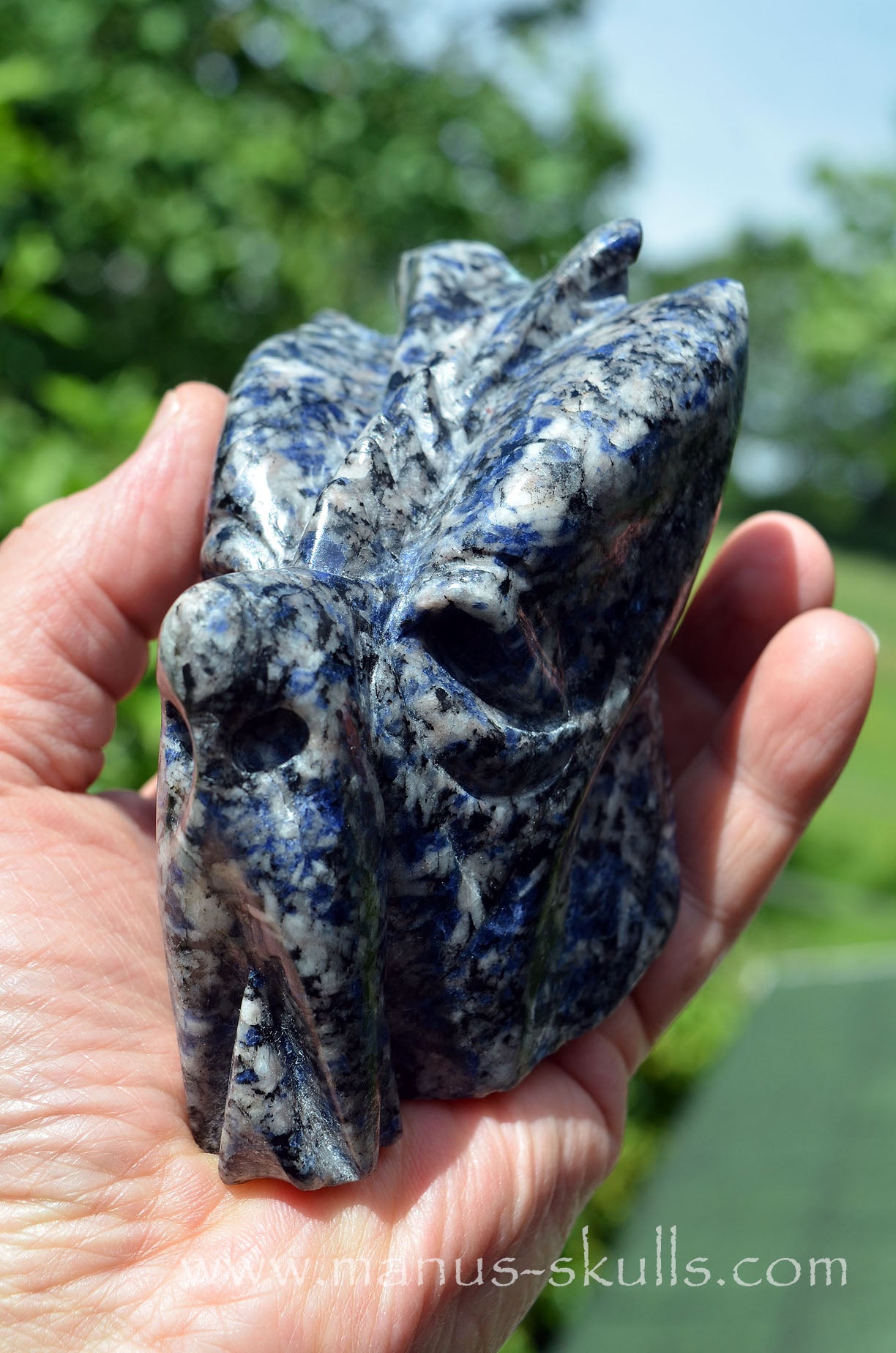 Rare Galena in Blue Quartz Dragon ....
