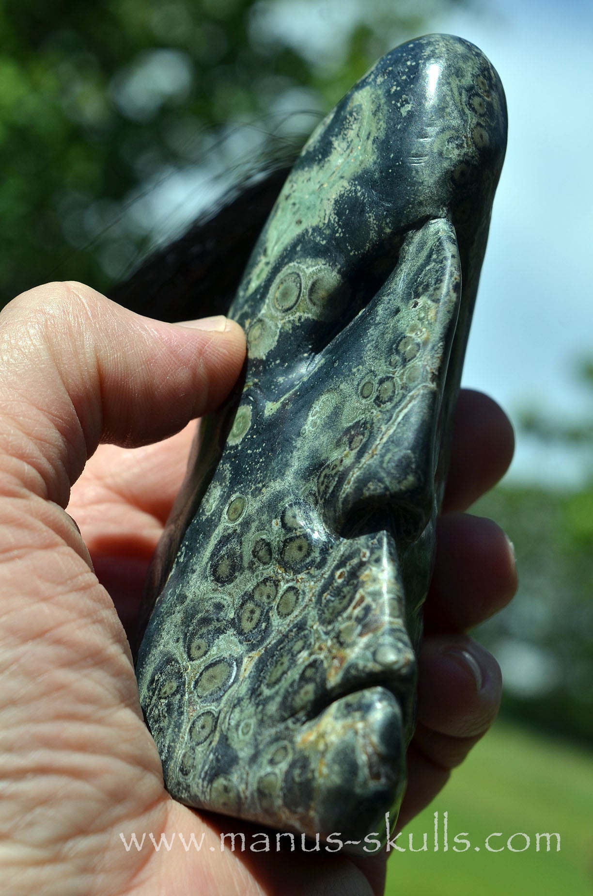 Kambaba Jasper Tribal Skull