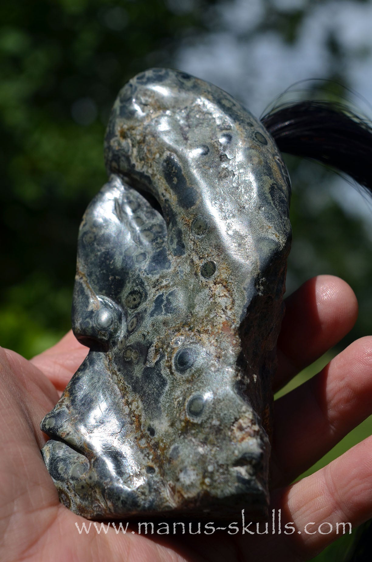 Kambaba Jasper Tribal Skull