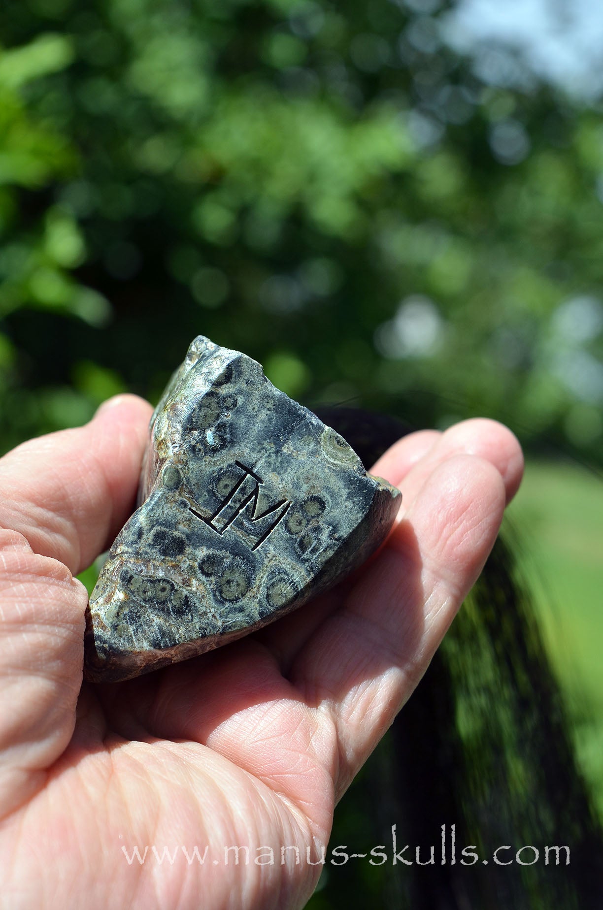 Kambaba Jasper Tribal Skull
