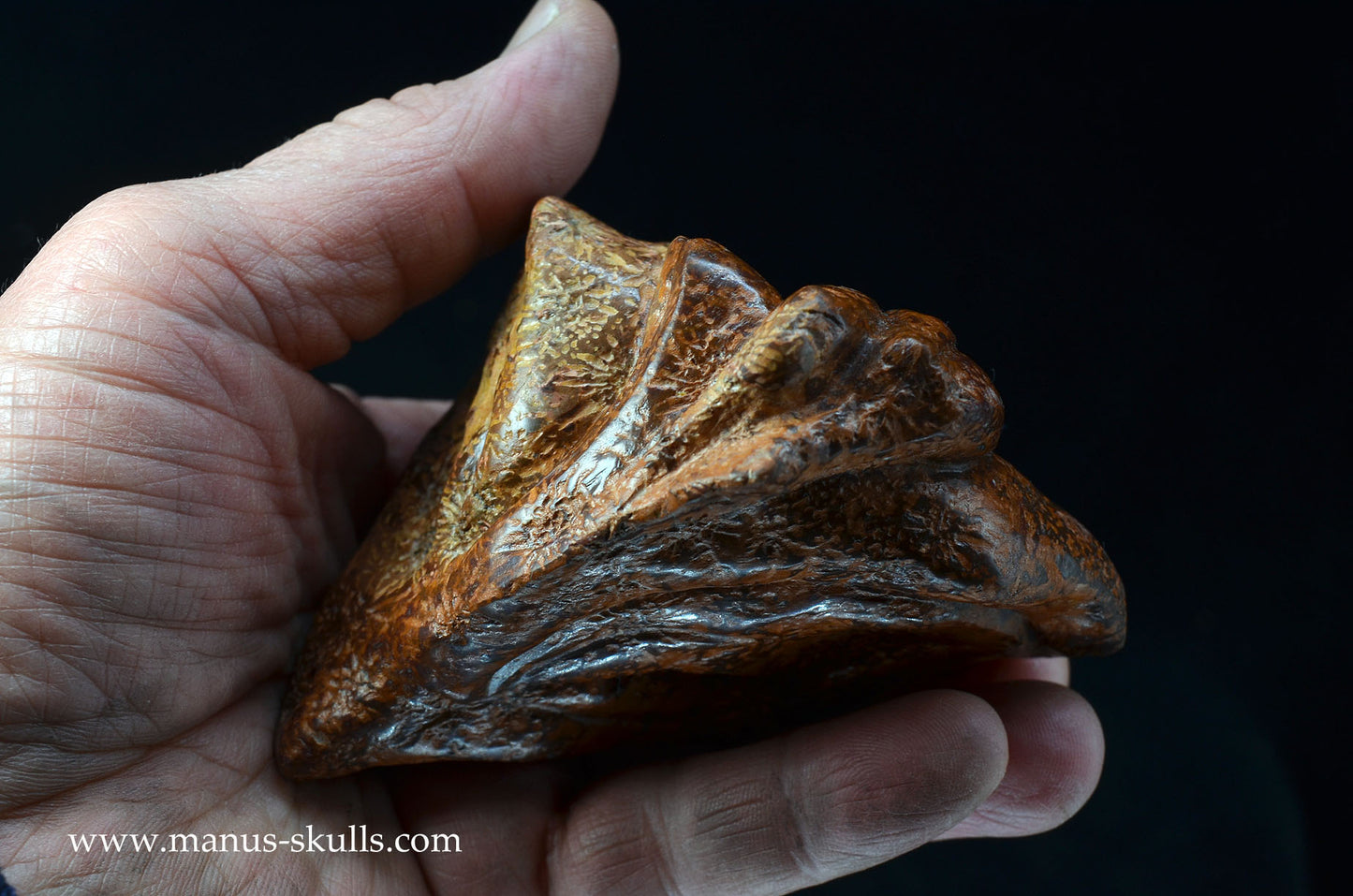 Star Rhyolite Jasper Dragon