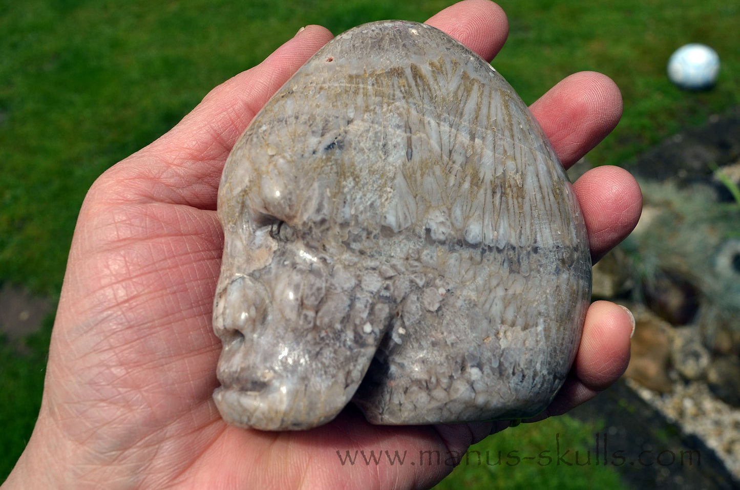 Plume Agate Skull face
