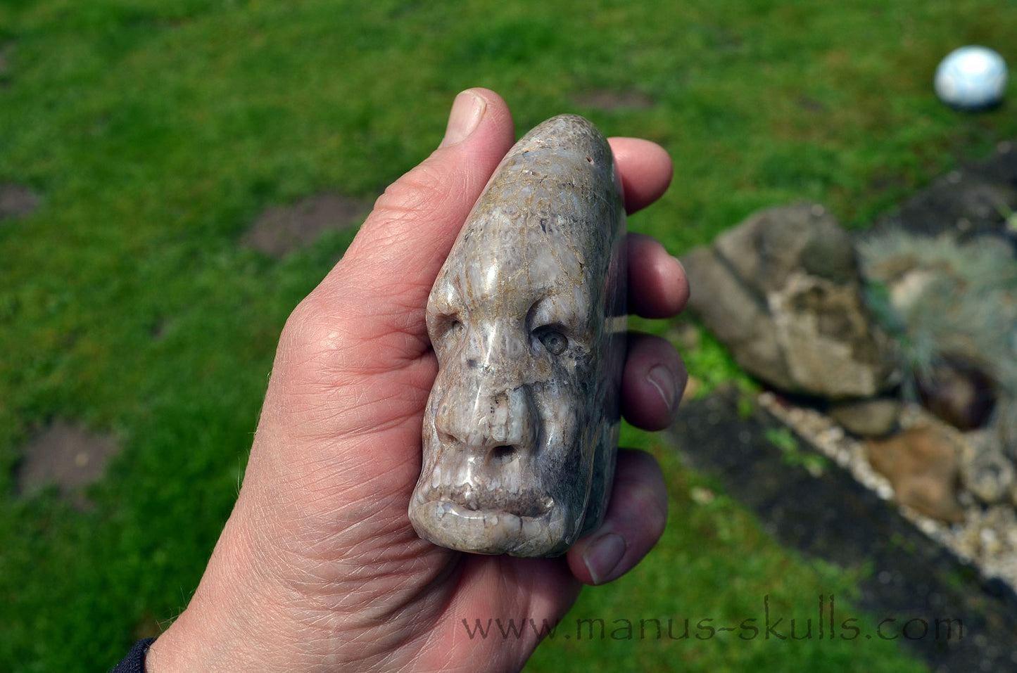 Plume Agate Skull face