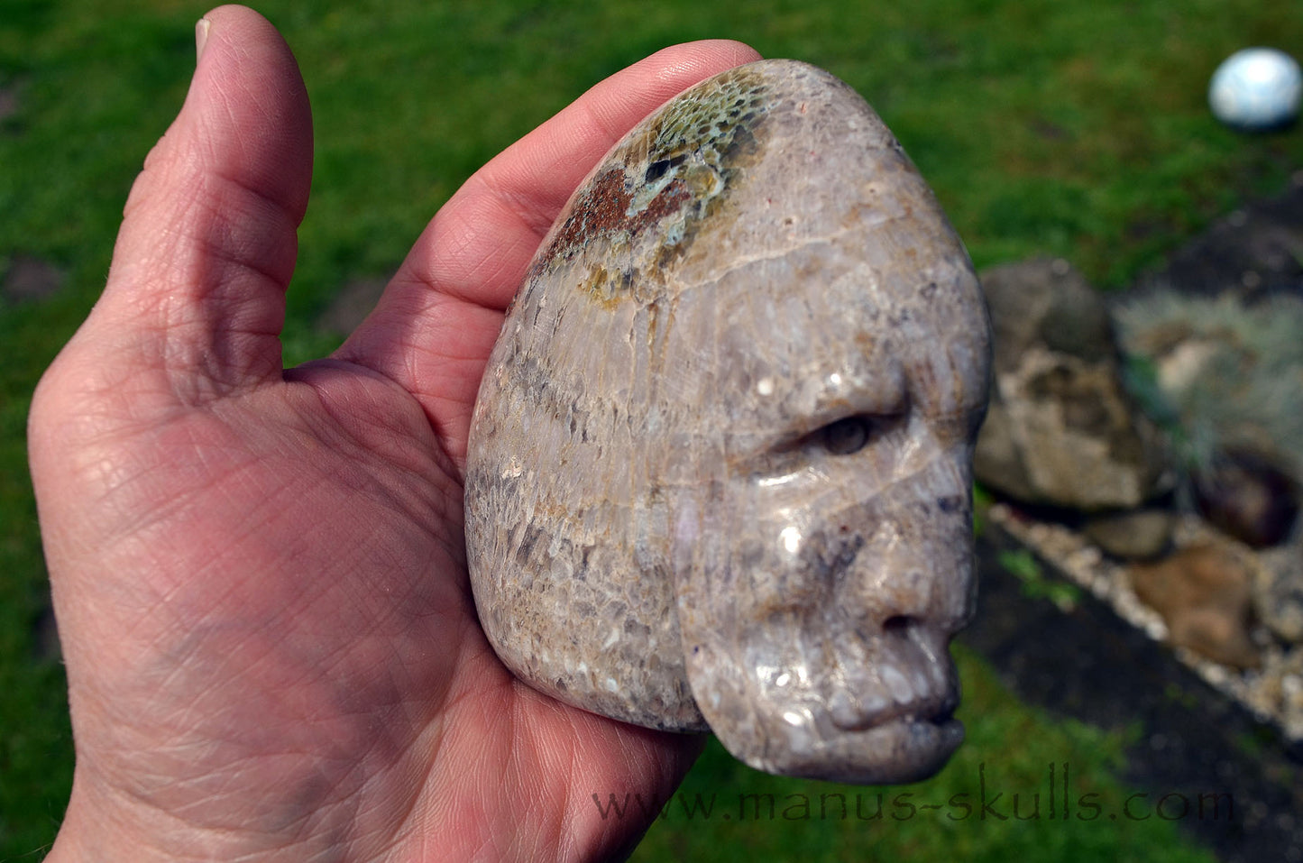 Plume Agate Skull face