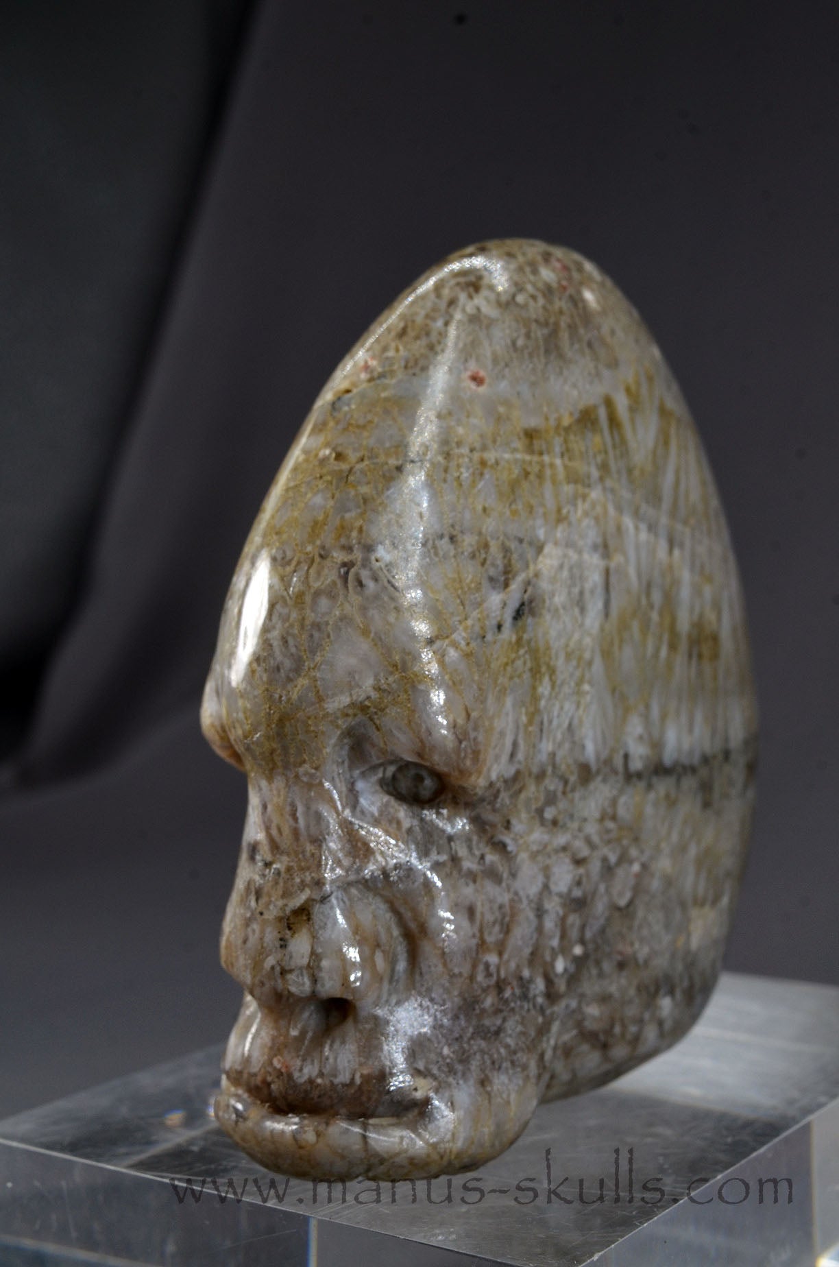 Manus skulls Evolians Dragolians unique Crystal Carvings handmade skulls dragons pendants preseli bluestone tribals spiritual meaning wand Unicorn ..  plume agate