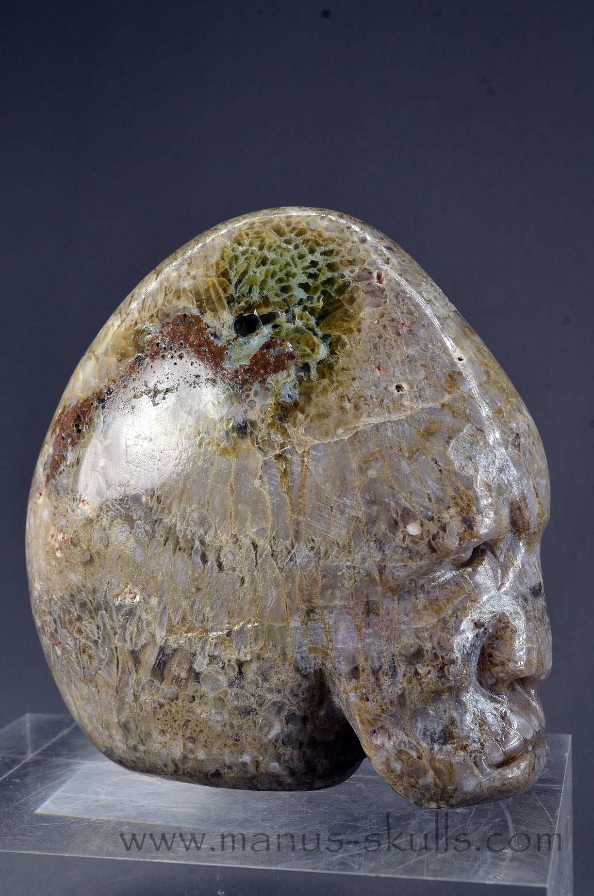 Plume Agate Skull face