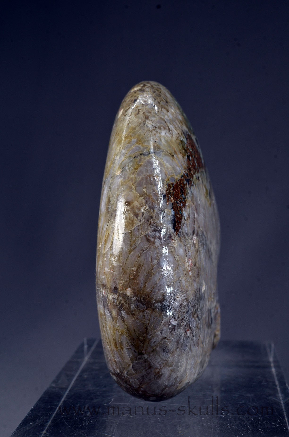 Plume Agate Skull face