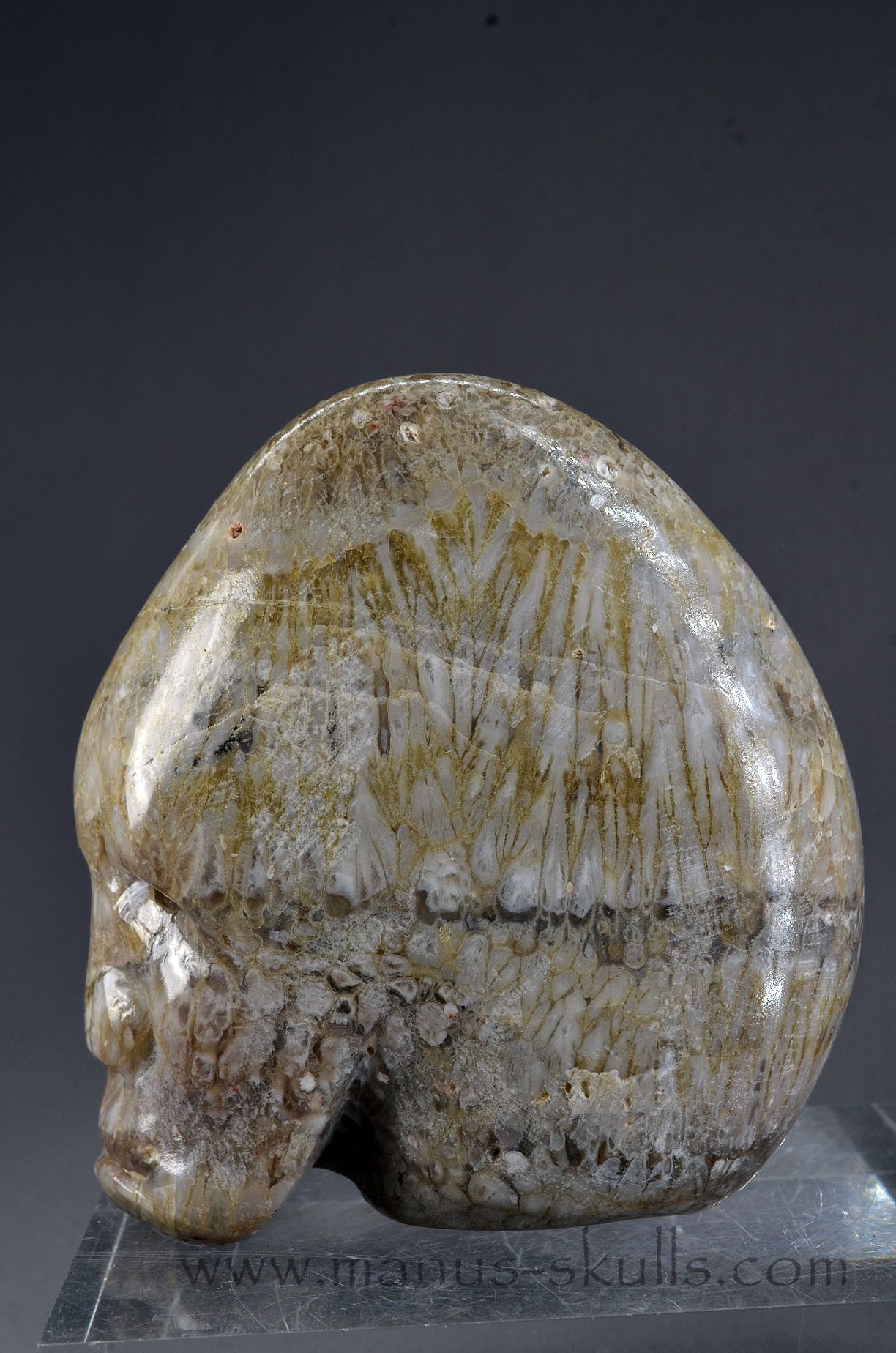 Plume Agate Skull face