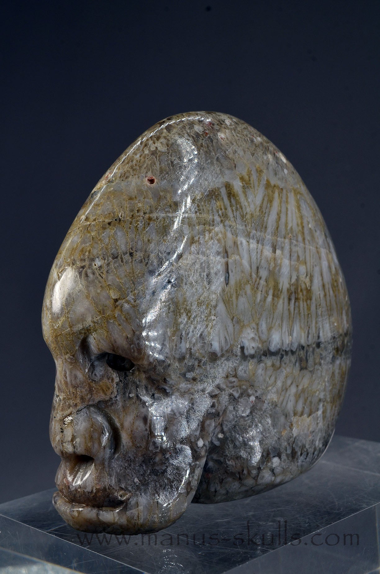 Plume Agate Skull face