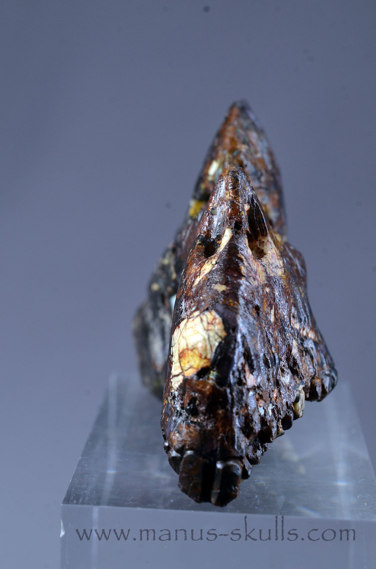 Manus skulls Evolians Dragolians unique Crystal Carvings handmade skulls dragons pendants preseli bluestone tribals spiritual meaning wand Unicorn ..  cuprite