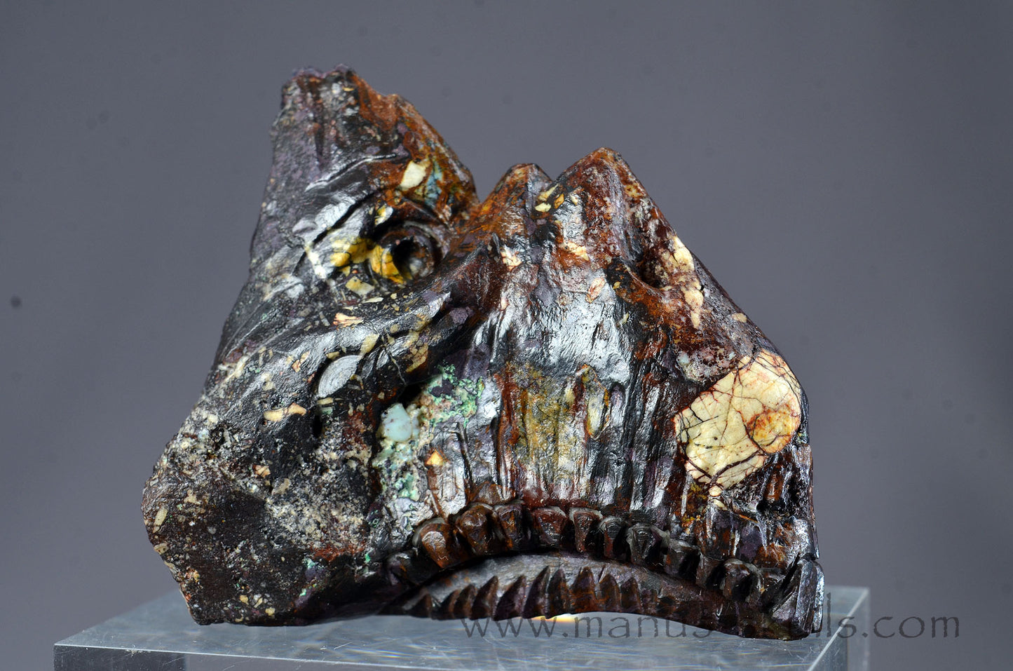 Cuprite Dragon