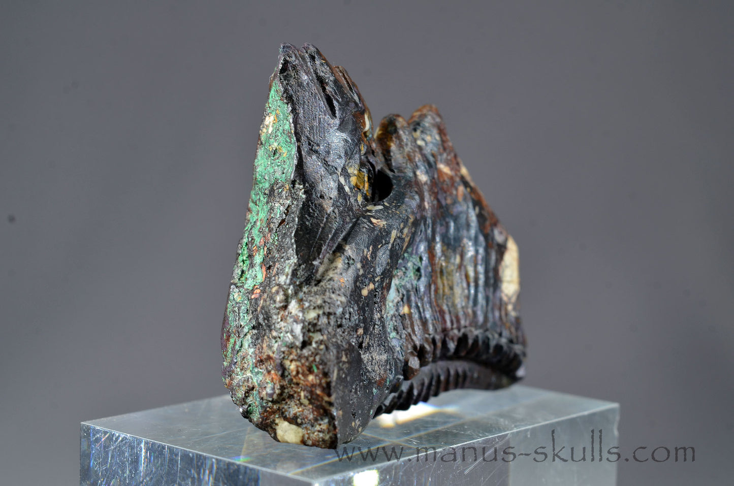 Cuprite Dragon