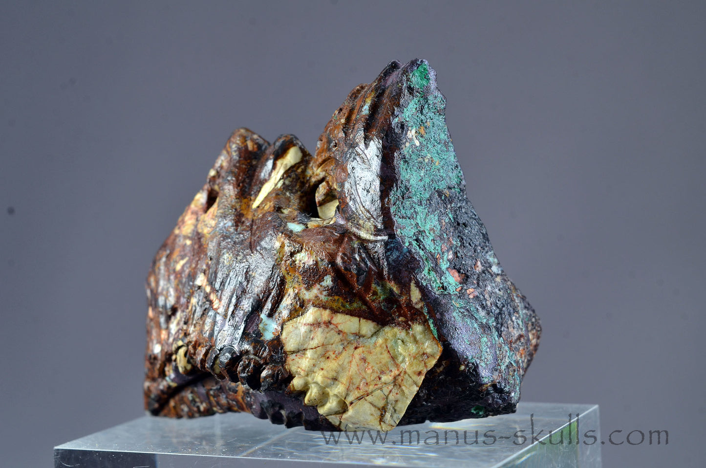 Cuprite Dragon