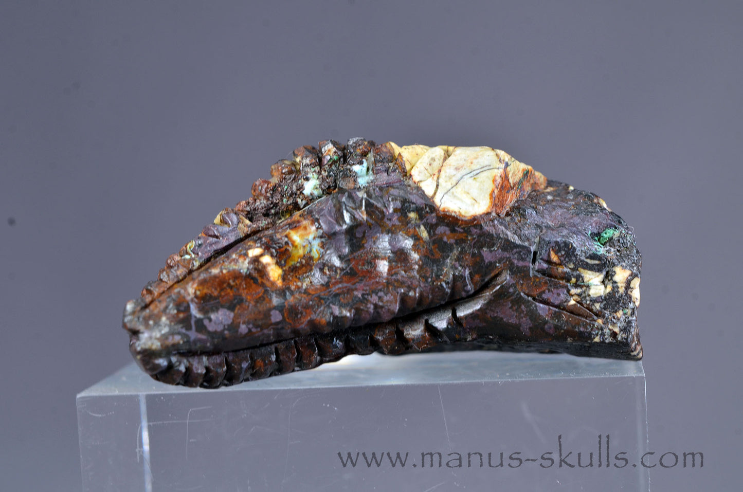 Cuprite Dragon