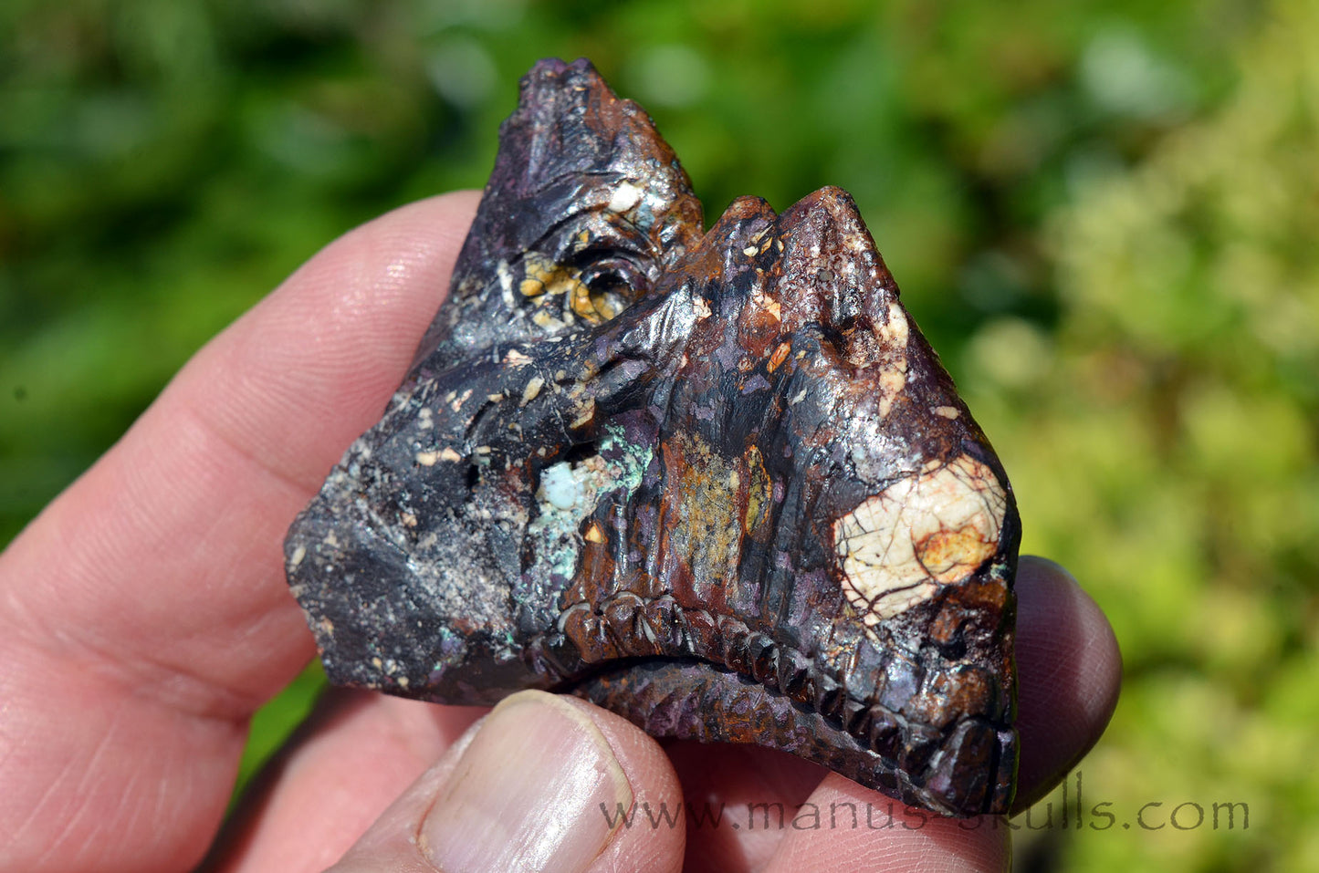 Cuprite Dragon