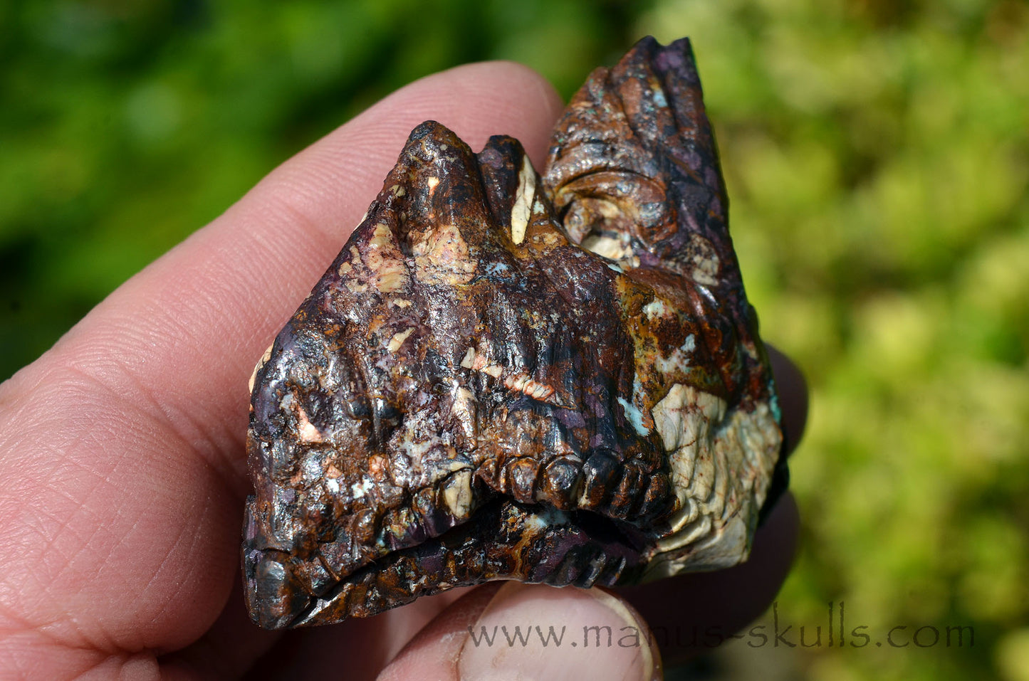 Cuprite Dragon