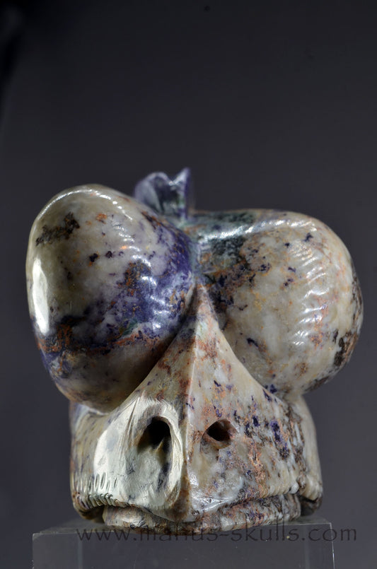 Manus skulls Evolians Dragolians unique Crystal Carvings handmade skulls dragons pendants preseli bluestone tribals spiritual meaning wand Unicorn ..  colombian tiffany stone