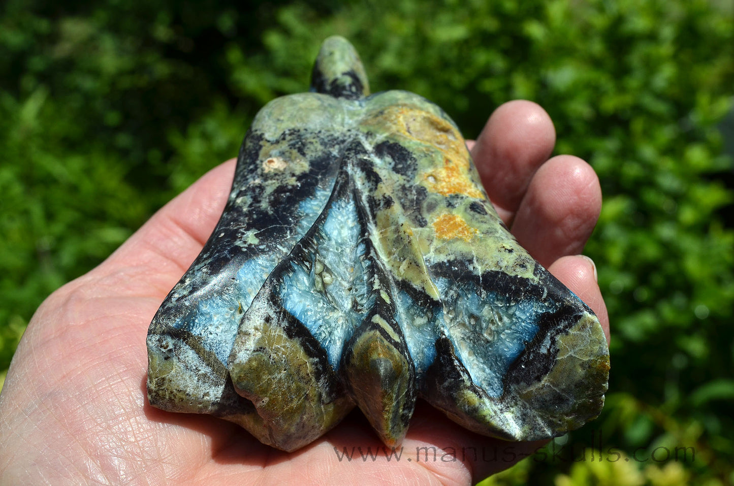 Galcierite Dragolian