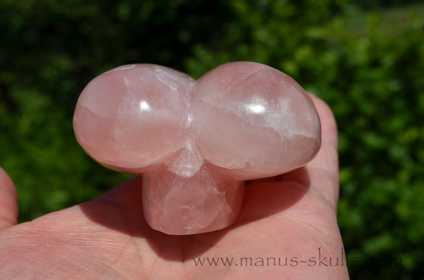 Rose Quartz Dragolian