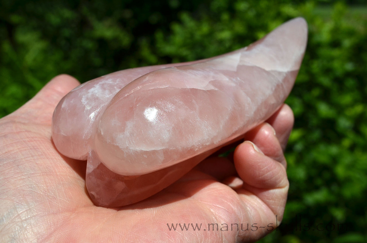 Rose Quartz Dragolian