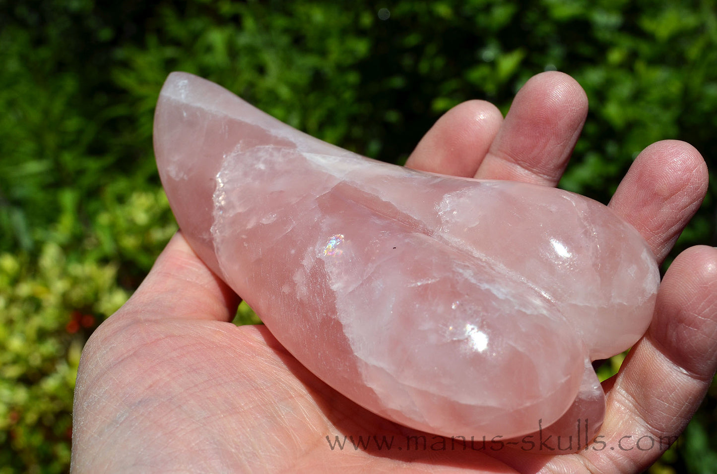 Rose Quartz Dragolian