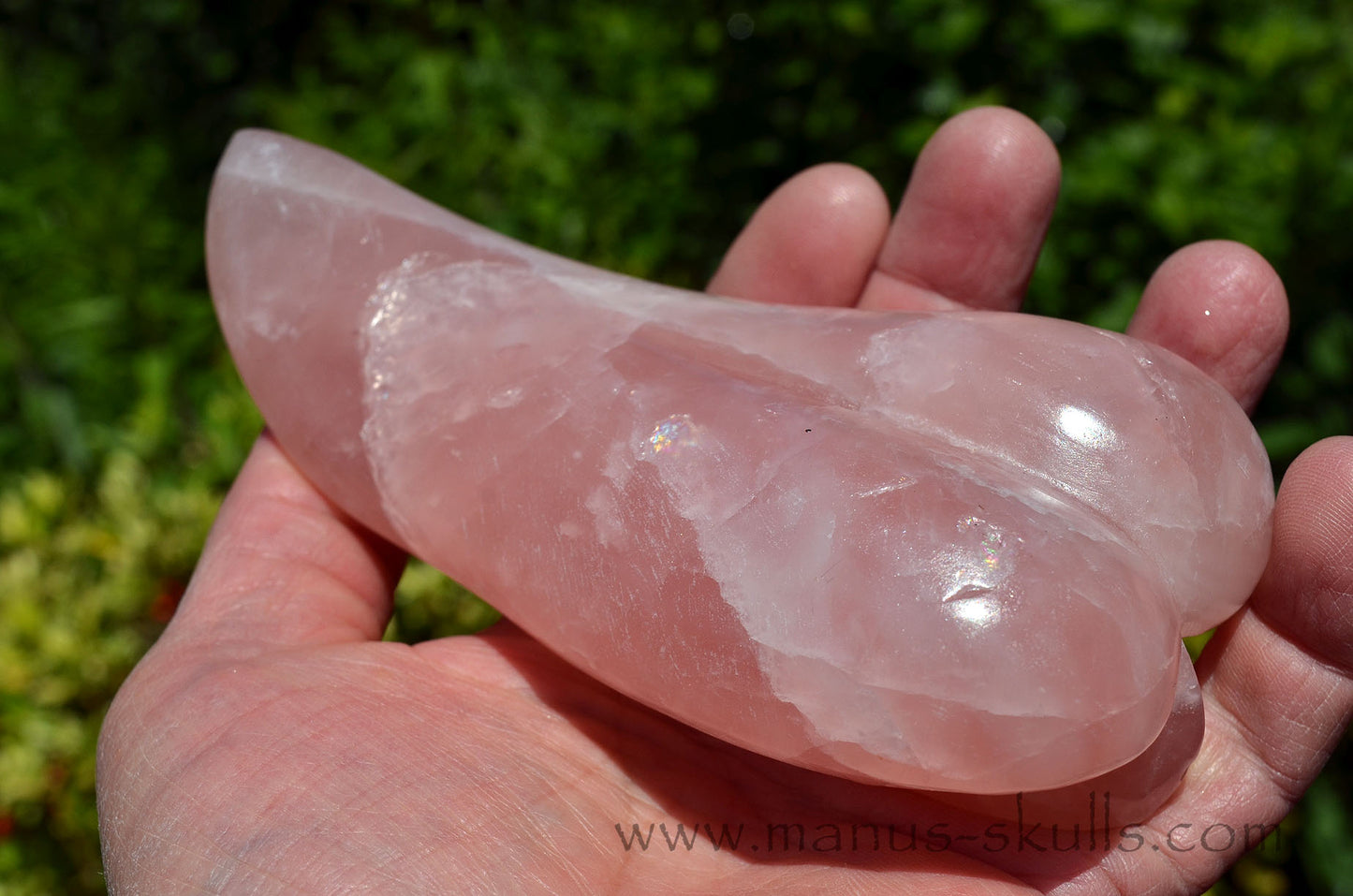 Rose Quartz Dragolian