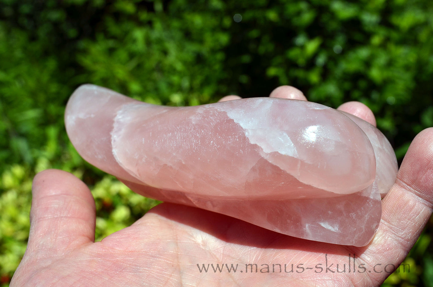 Rose Quartz Dragolian