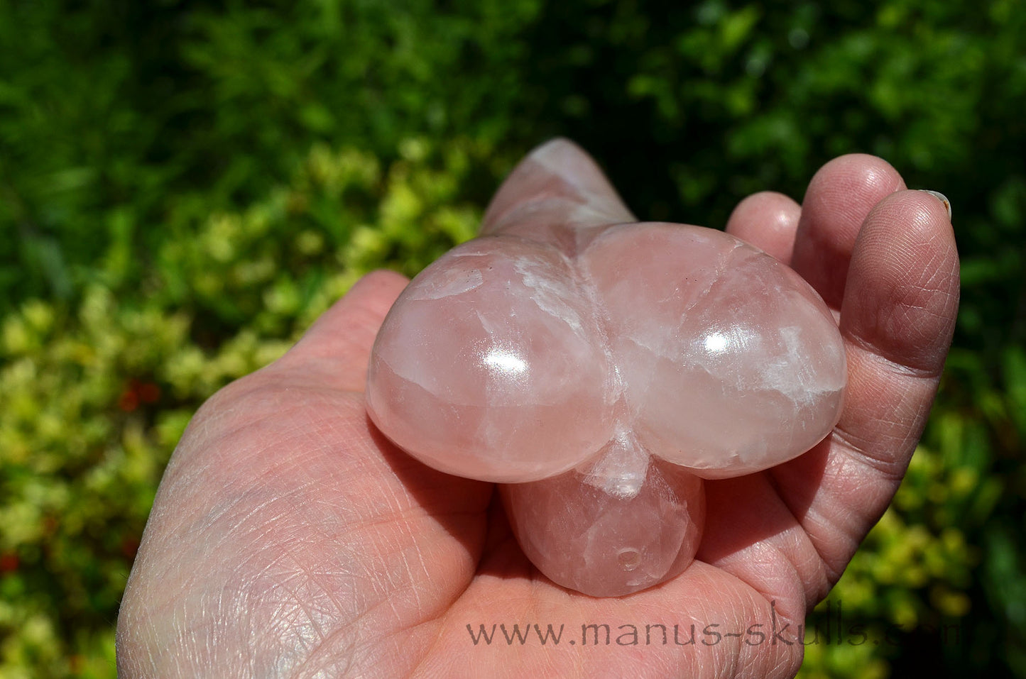 Rose Quartz Dragolian
