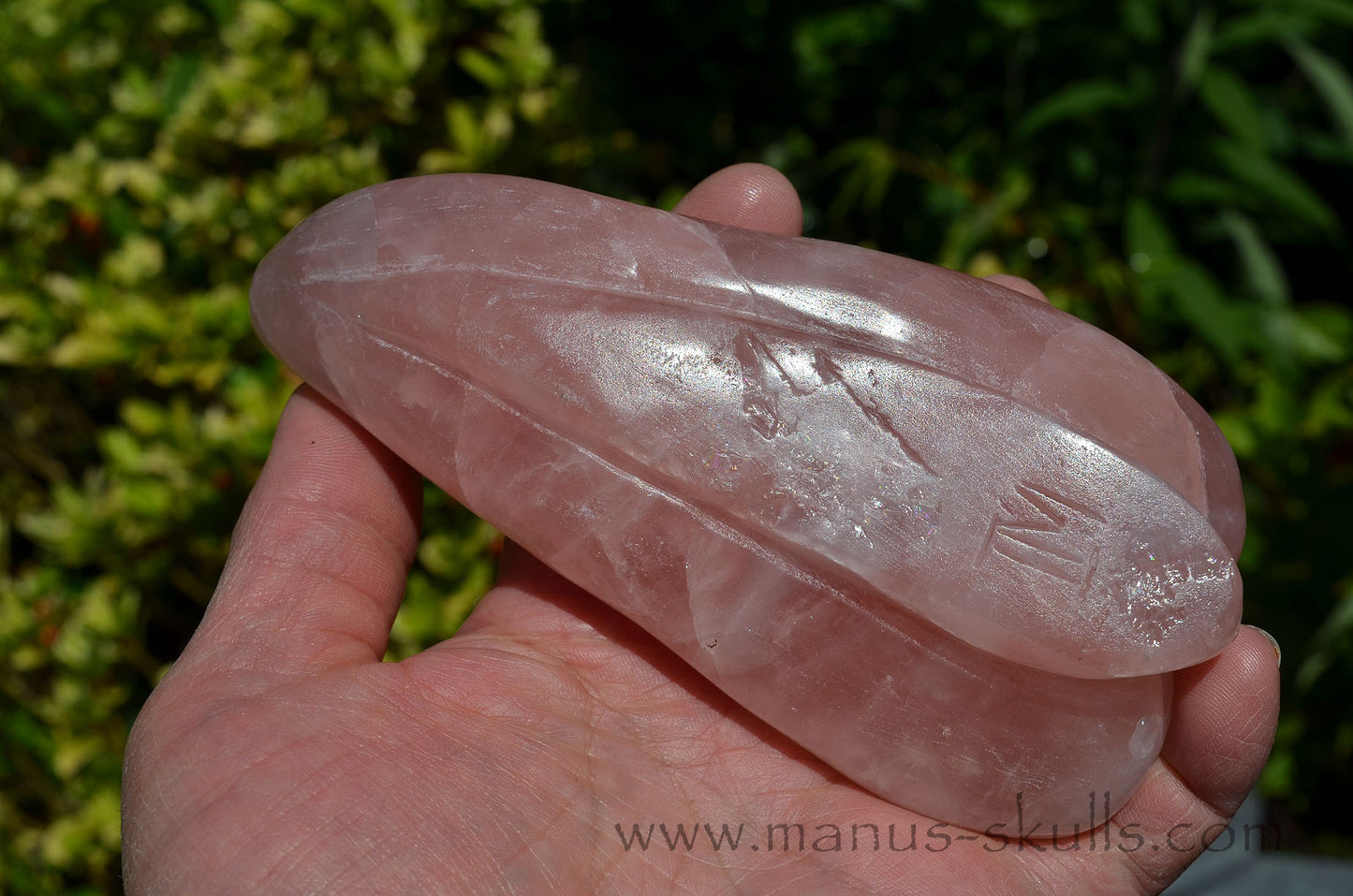Rose Quartz Dragolian