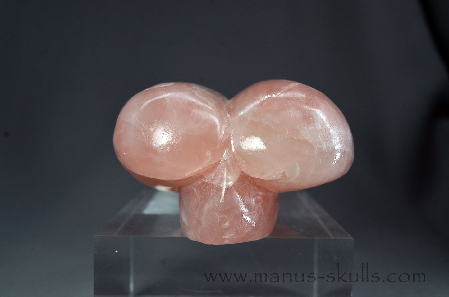 Rose Quartz Dragolian