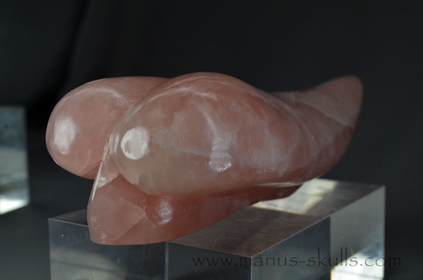 Rose Quartz Dragolian