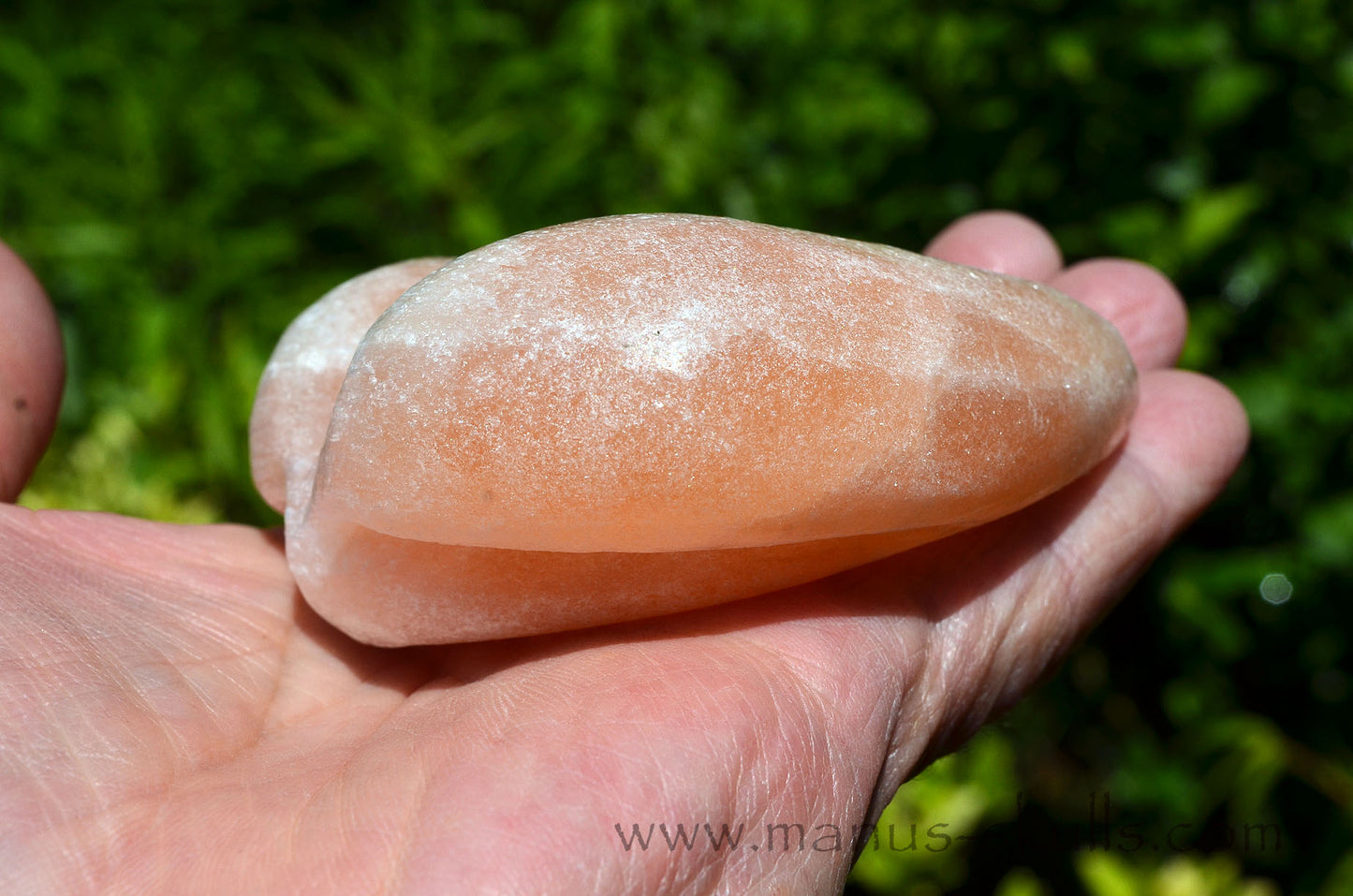 Peach Selenite Dragolian