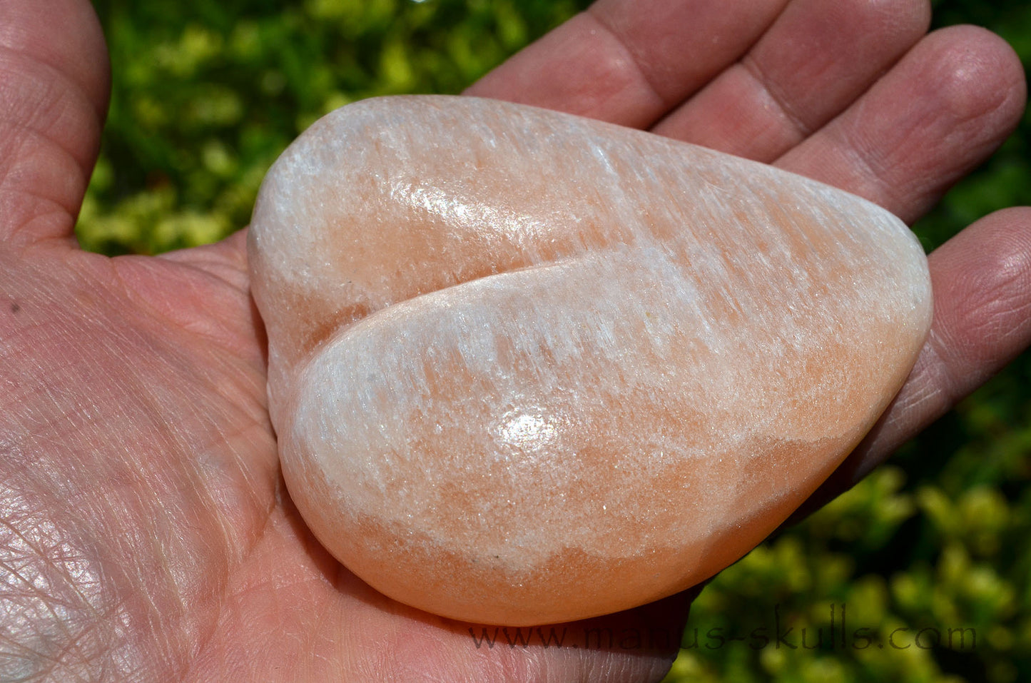 Peach Selenite Dragolian