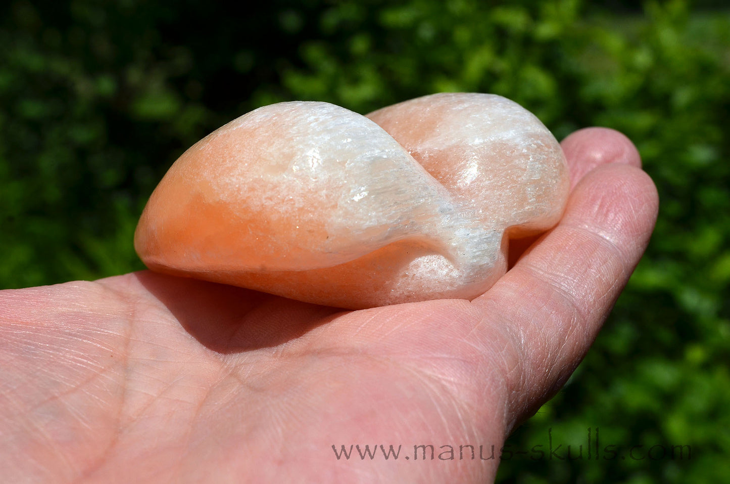 Peach Selenite Dragolian