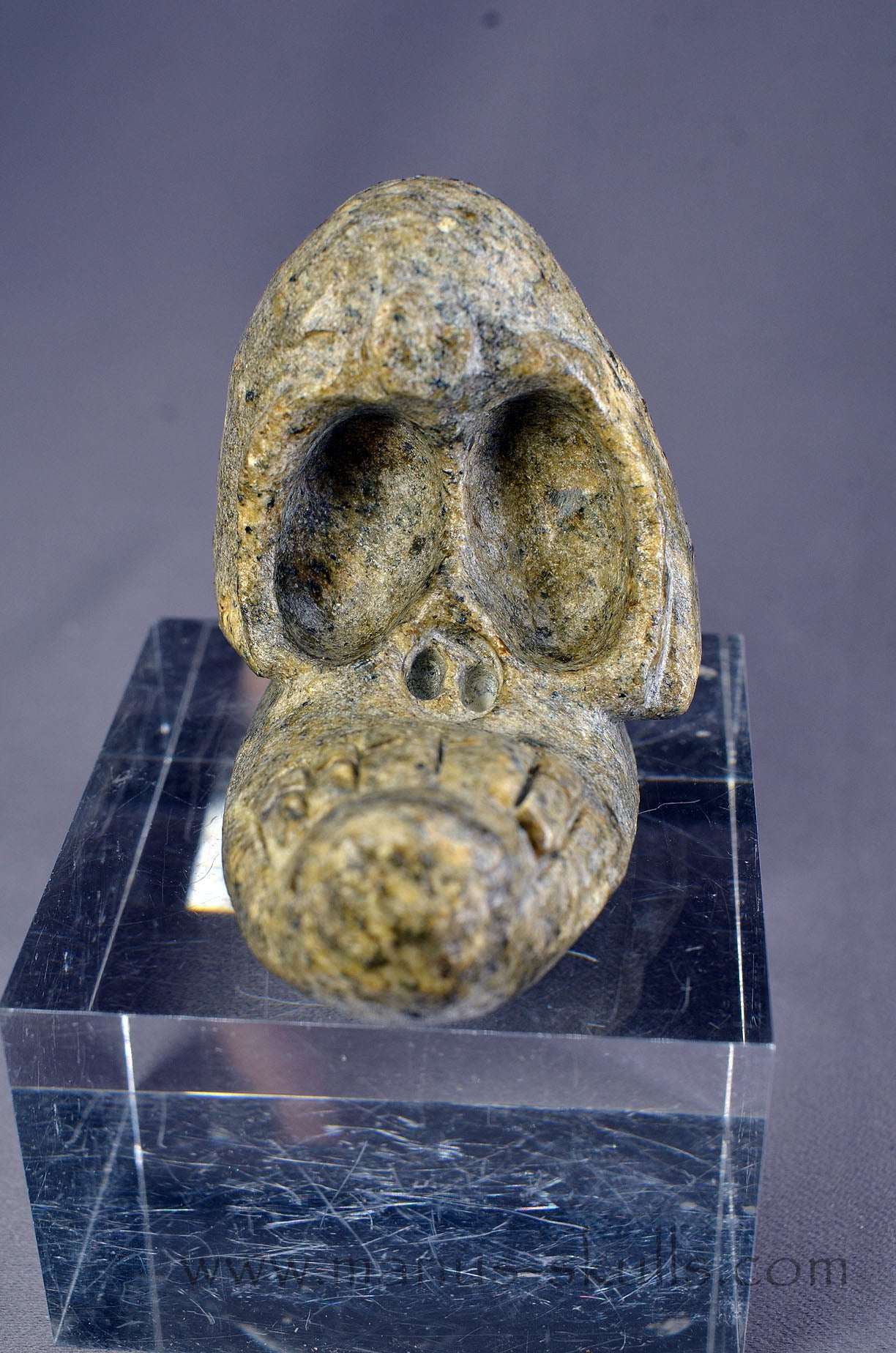 Manus skulls Evolians Dragolians unique Crystal Carvings handmade skulls dragons pendants preseli bluestone tribals spiritual meaning wand Unicorn ..  evolian 2026