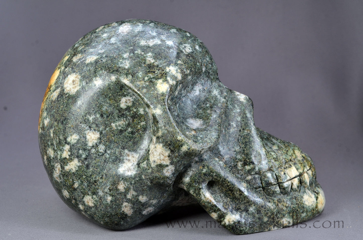 Large Preseli Bluestone Skull