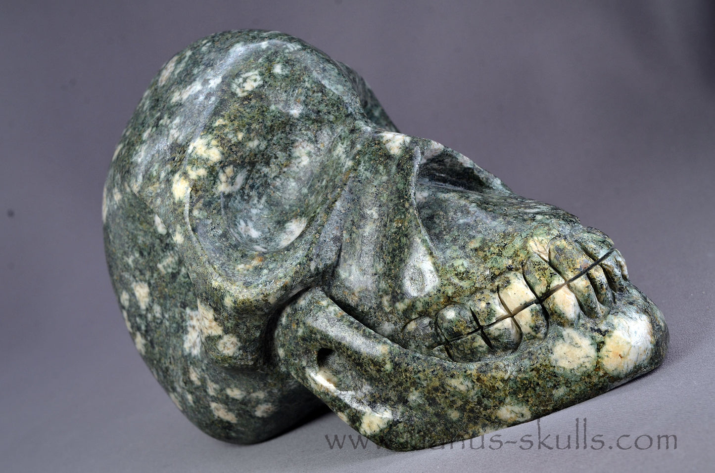 Large Preseli Bluestone Skull