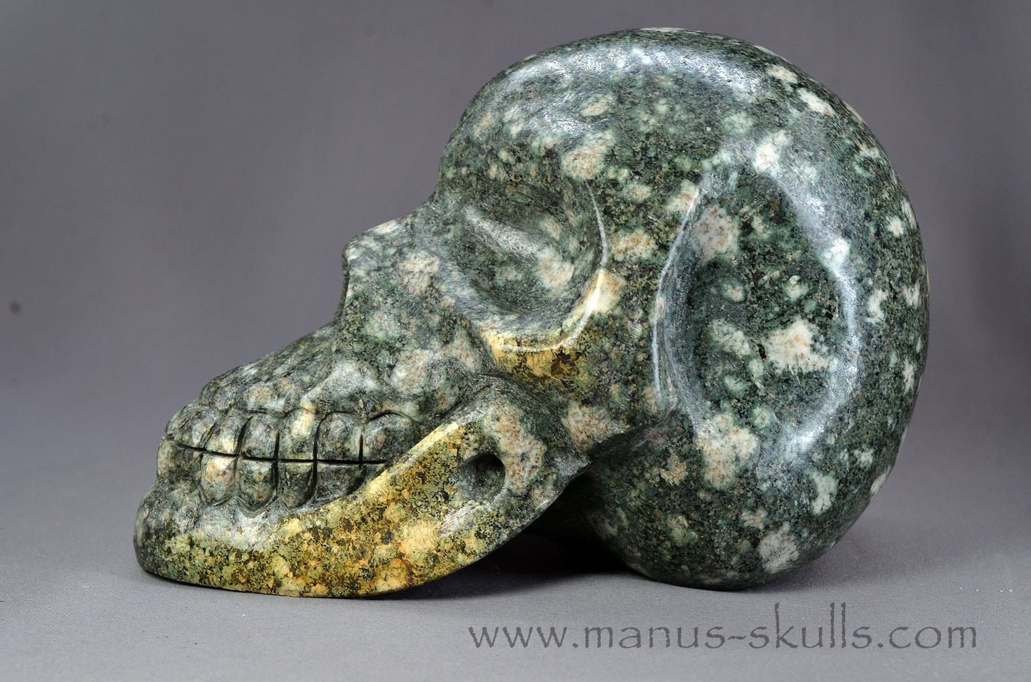 Large Preseli Bluestone Skull