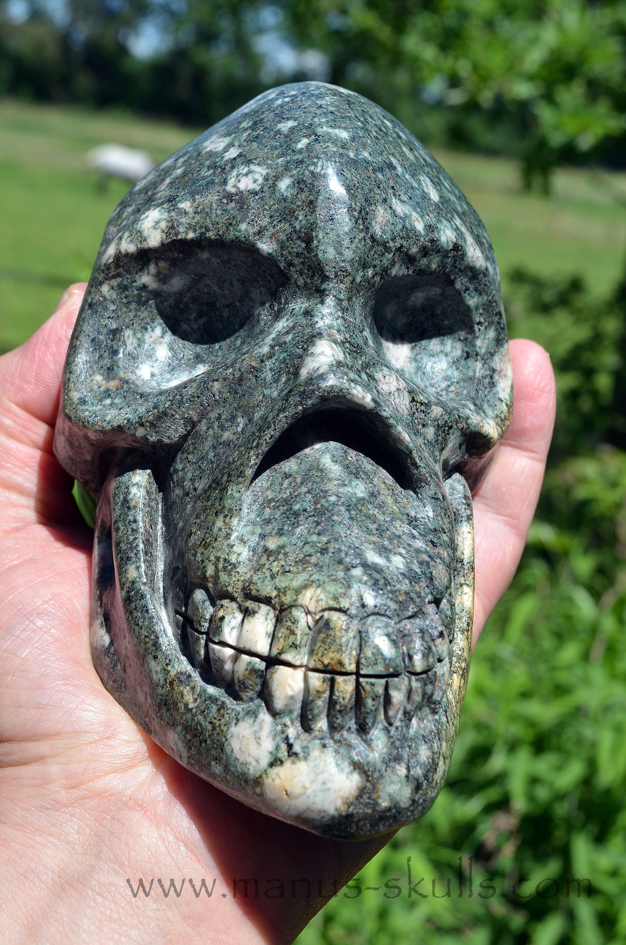 Large Preseli Bluestone Skull