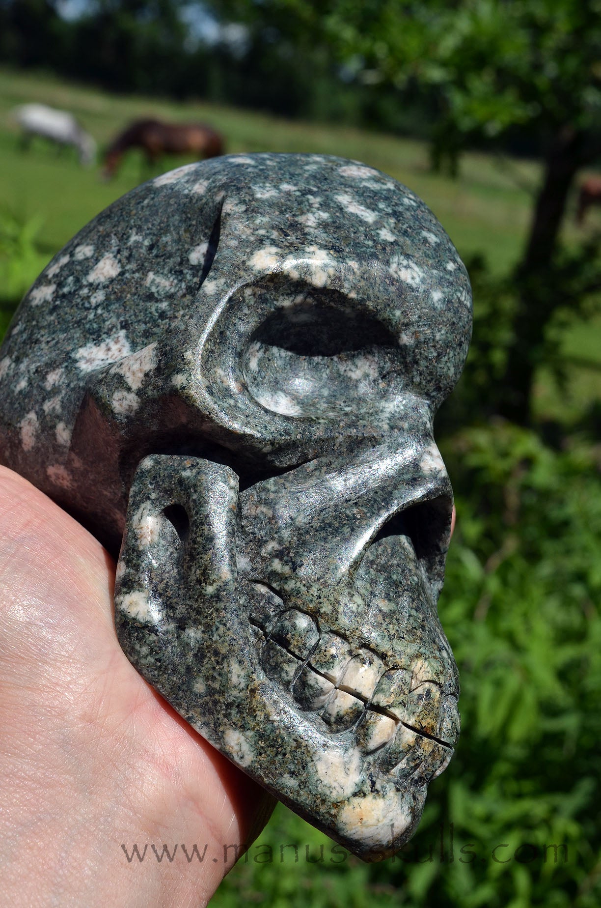 Large Preseli Bluestone Skull