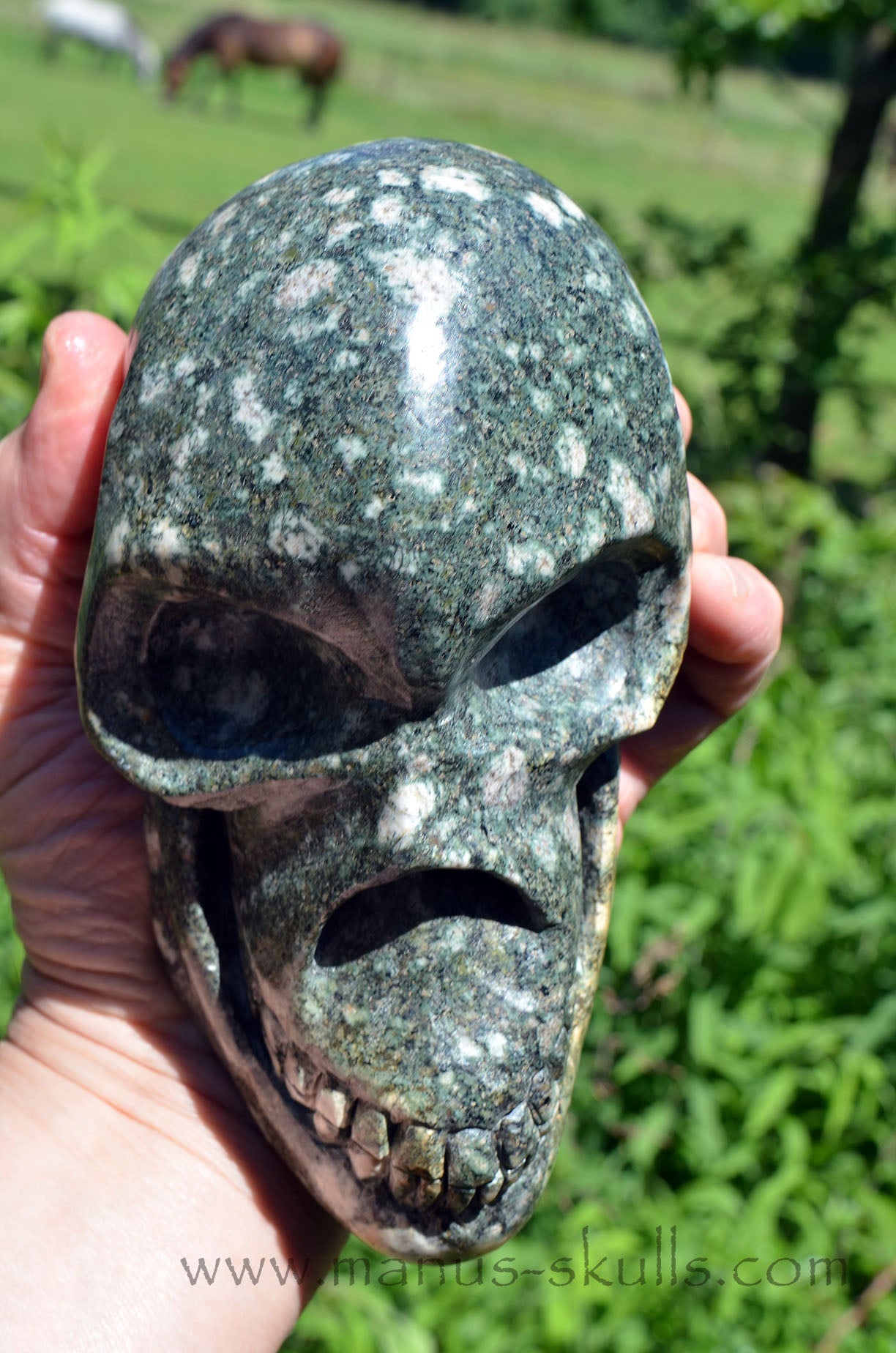 Large Preseli Bluestone Skull