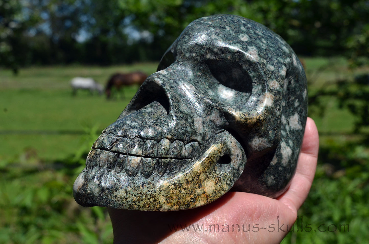 Large Preseli Bluestone Skull