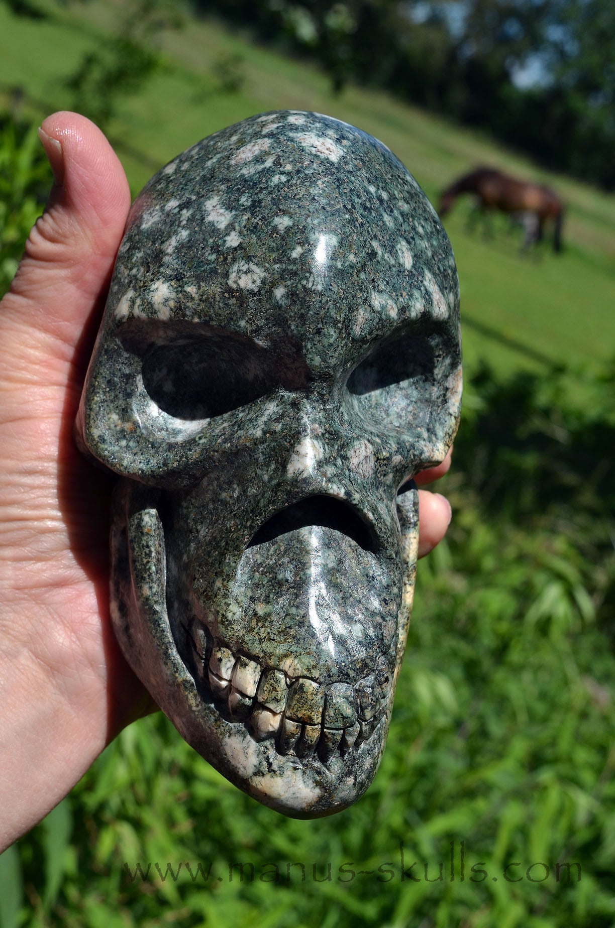 Large Preseli Bluestone Skull