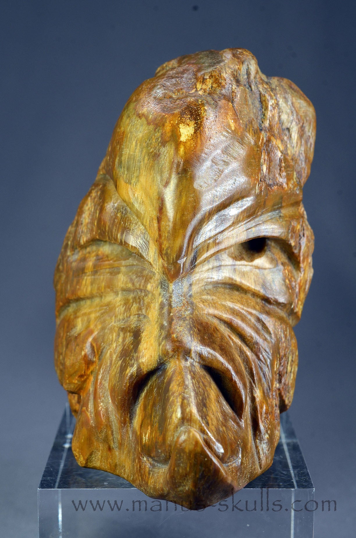 Quirky Petrified Wood Skull Face