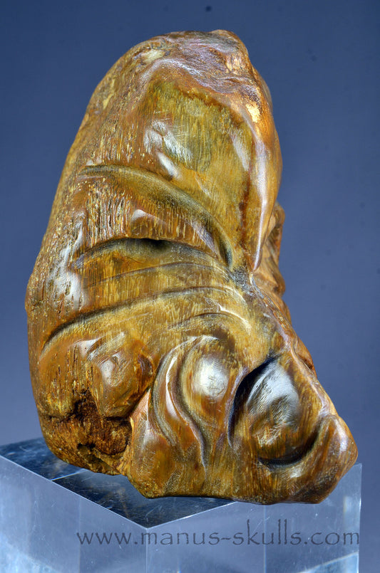 Quirky Petrified Wood Skull Face