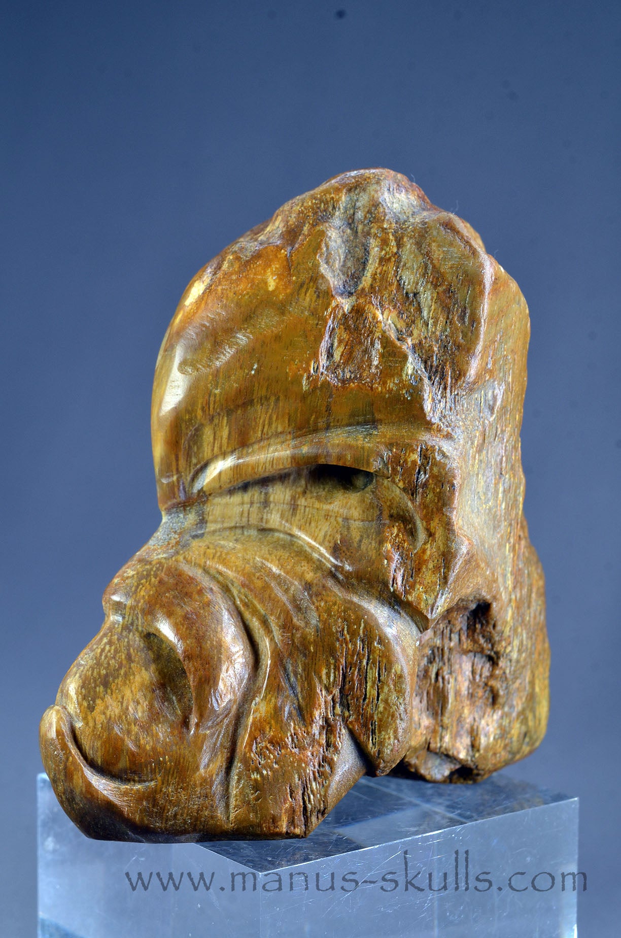 Quirky Petrified Wood Skull Face