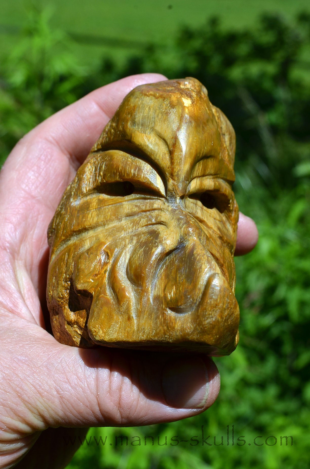 Quirky Petrified Wood Skull Face